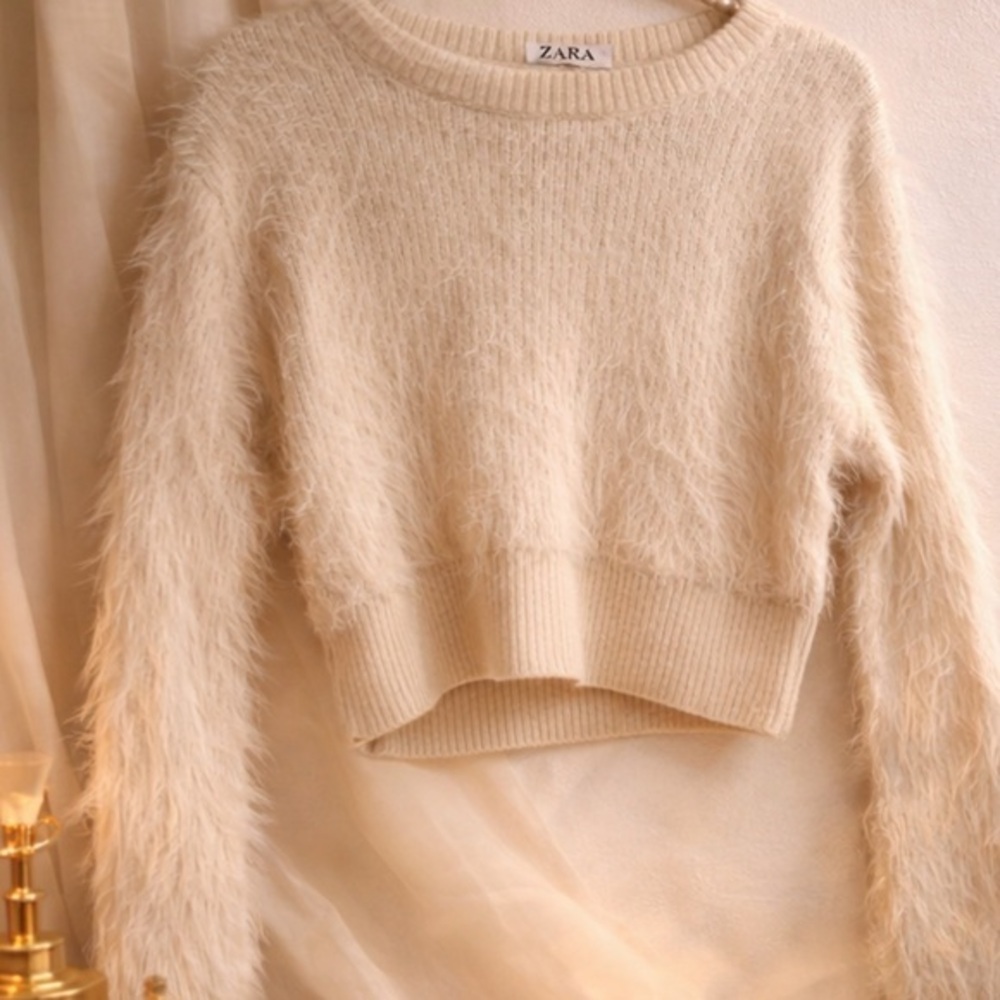 Zara Fuzzy Cropped Crewneck Sweater in Beige
